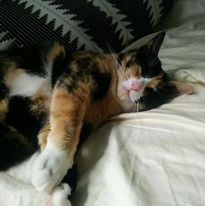 Meet your Posher, W.